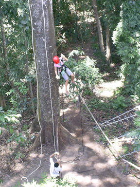 treetop adventure subic bay