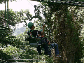 treetop subic bay adventure