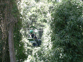 wow look out below